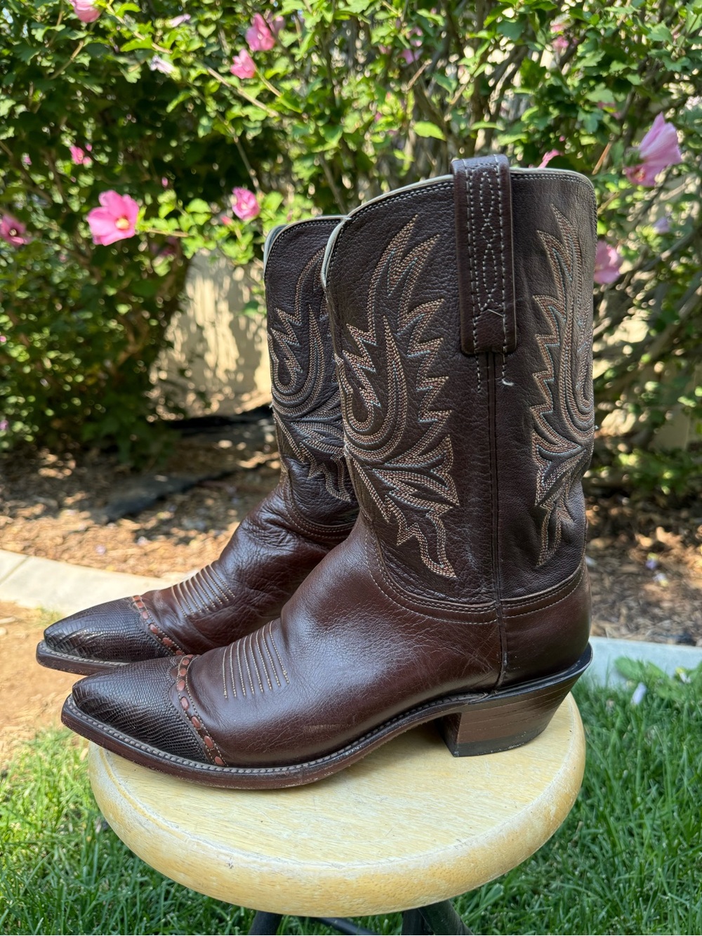 Lucchese 1883 Women's Exotic Western Boots Size 9 B Brown
With Lizard Tips USA - Picture 4 of 15